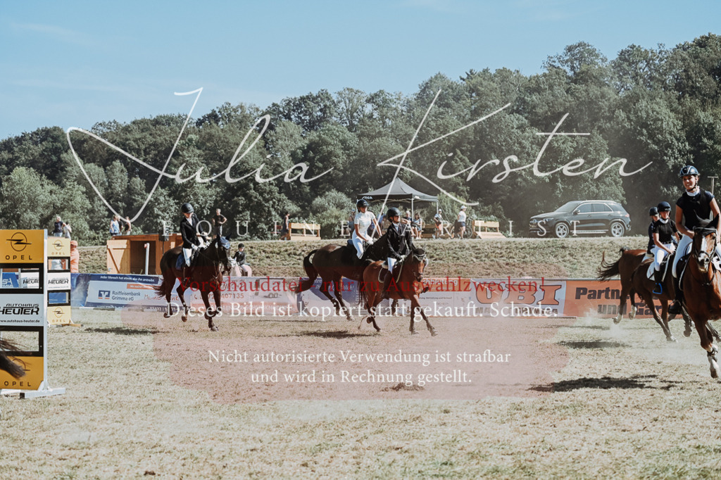 DSC_0162 | Pferde- und Turnierfotografie in Westsachsen. Pferdeportraits, Auftragszeichnungen und intuitive Kunst.