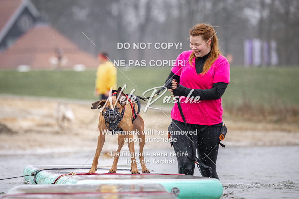 nelerasche_Hulsbeek_Sa1030-1100_197 | nelerasche