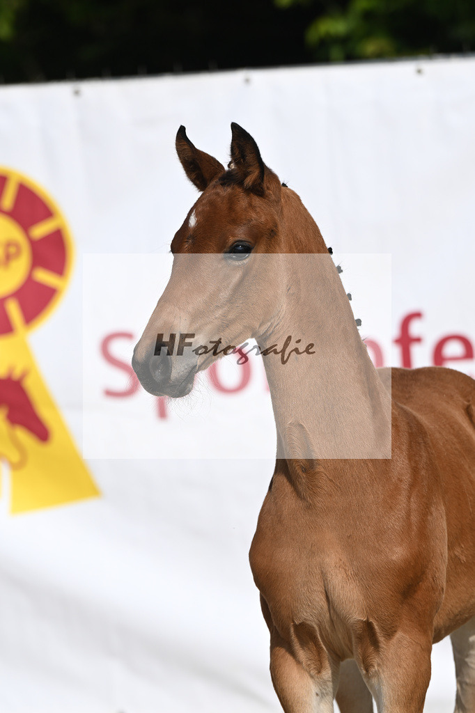 Feliciano x Danone I_SF_Huber_12250091 | hf-fotografie - Realisiert mit Pictrs.com