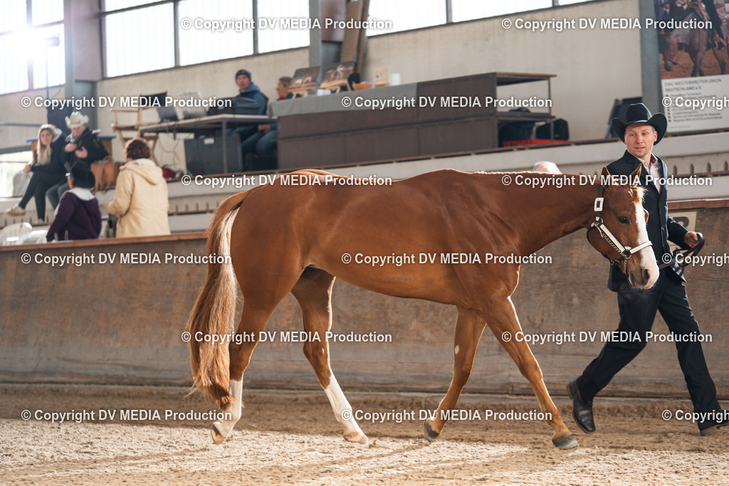 Heiligenwald Tag 2-35 | dv-media-shop - Realisiert mit Pictrs.com