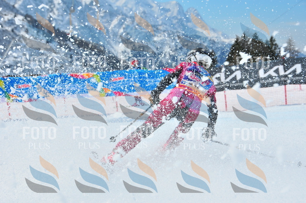 DSC_7223 | holidayphoto