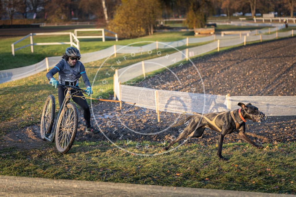 CaniXpix_DV3A9453 | Hundefotografie, Tierfotograf, Pfotenfotografie, Fotoshooting Hund, Hunde Portrait, Hundesport, Hundeportraits, Heideshooting, Hunde, Sportfotograf, Hundefotograf, Turnierhundsport, THS,  - Realisiert mit Pictrs.com