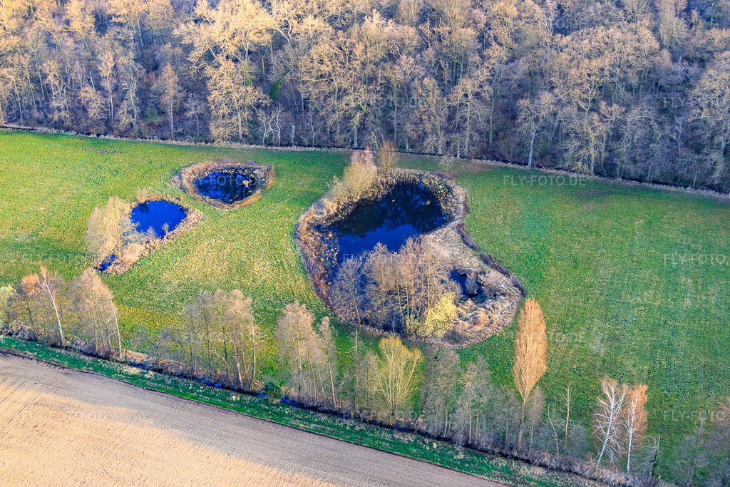 Luftbild: Biotop am Altbach im Winter im Ortsteil Minderslachen in Kandel im Bundesland Rheinland-Pfalz in Deutschland. Foto: IMG_076782.jpg vom 28.03.2015 durch Werner Riehm/FLY-FOTO.de