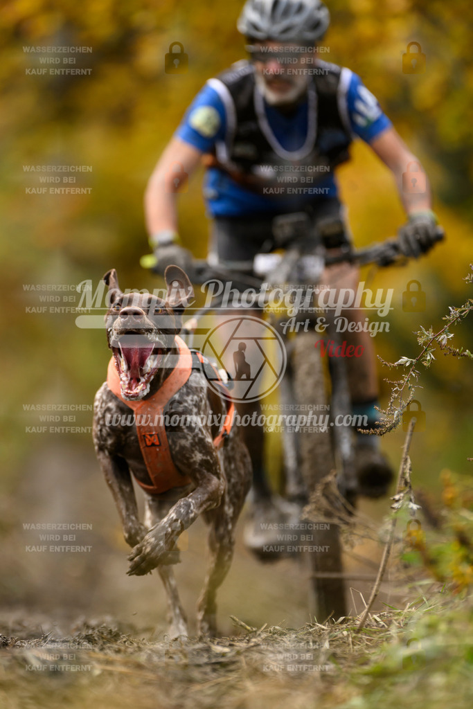 MompixPhotography_ICF_WC_2024_SA_Bike_-161 | PayLife