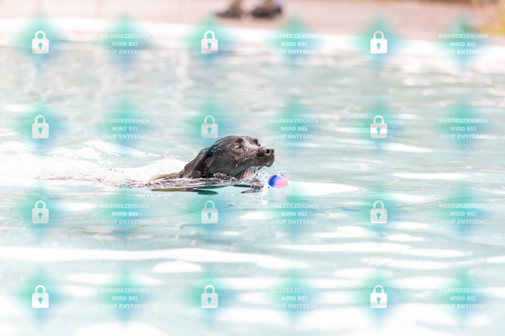 _HP_7332_1000o | HetPix, HetPix Fotodesign, Fotografie, Fotodesign, Webshop, Sportfotografie, Portraitfotografie, Onlineshop, Sportfotografie, Polch, Motorsportfotografie, Eventfotografie