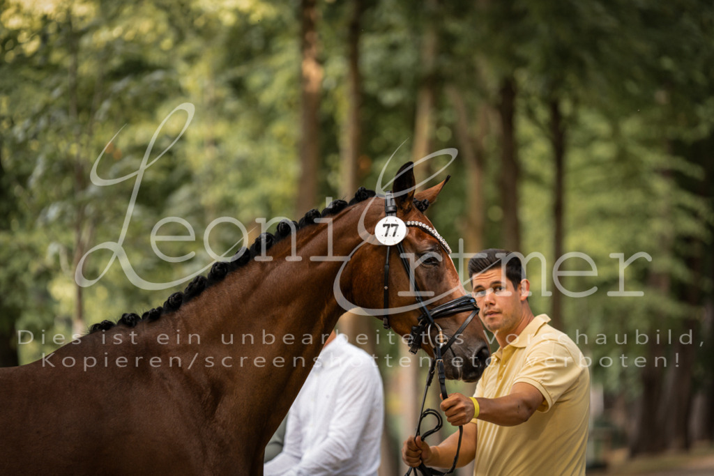 FrPfM00031 | Leoni Ertmer Photography - Realisiert mit Pictrs.com