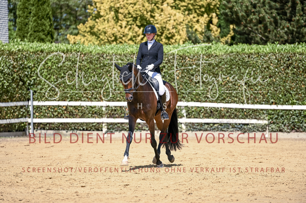 Schugtsche-Aluta25-49.Dressurpferdeprf.A-342 | Schugtsche Fotografie - Realisiert mit Pictrs.com