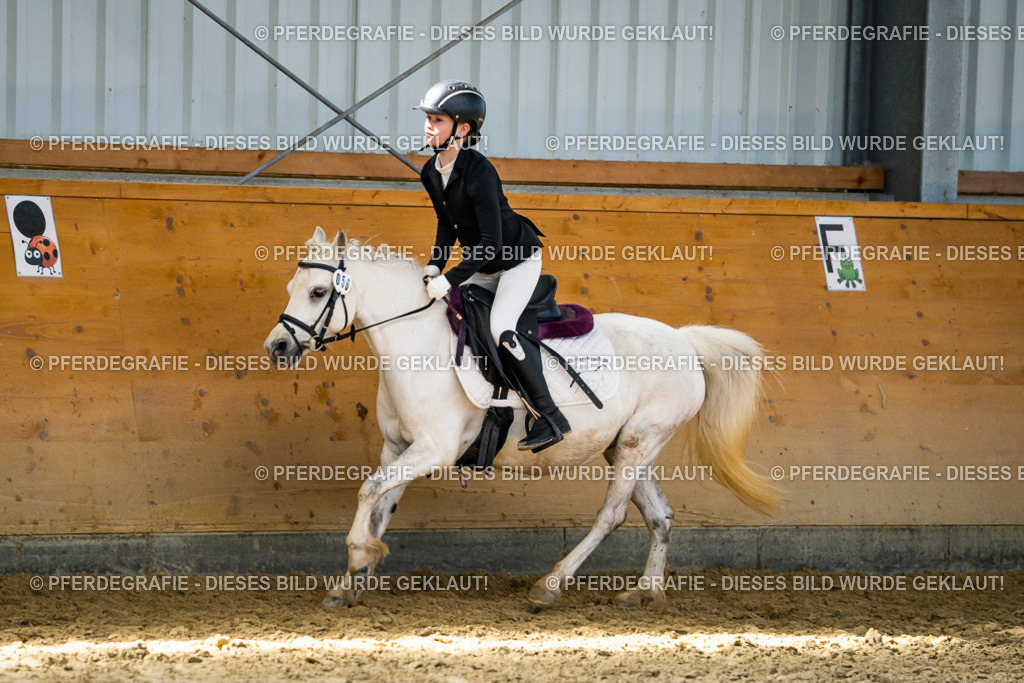 DSC02298 | Pferdegrafie