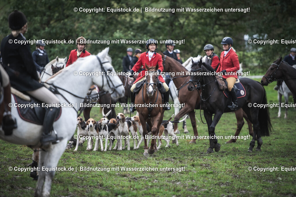 20241013_Jagd-Marbach_0138 | Foto: Thomas Hartig