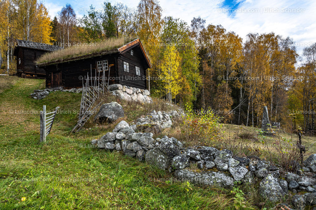10047-10090 - Stabkirche von Uvdal  - Norwegen | Stockfoto und Bilderpool mit Bildmaterial aus Deutschland, dem Harz, Halberstadt, Quedlinburg, Wernigerode und weltweit. Qualitativ hochwertige und professionelle Fotos anschauen und kaufen. - Realisiert mit Pictrs.com