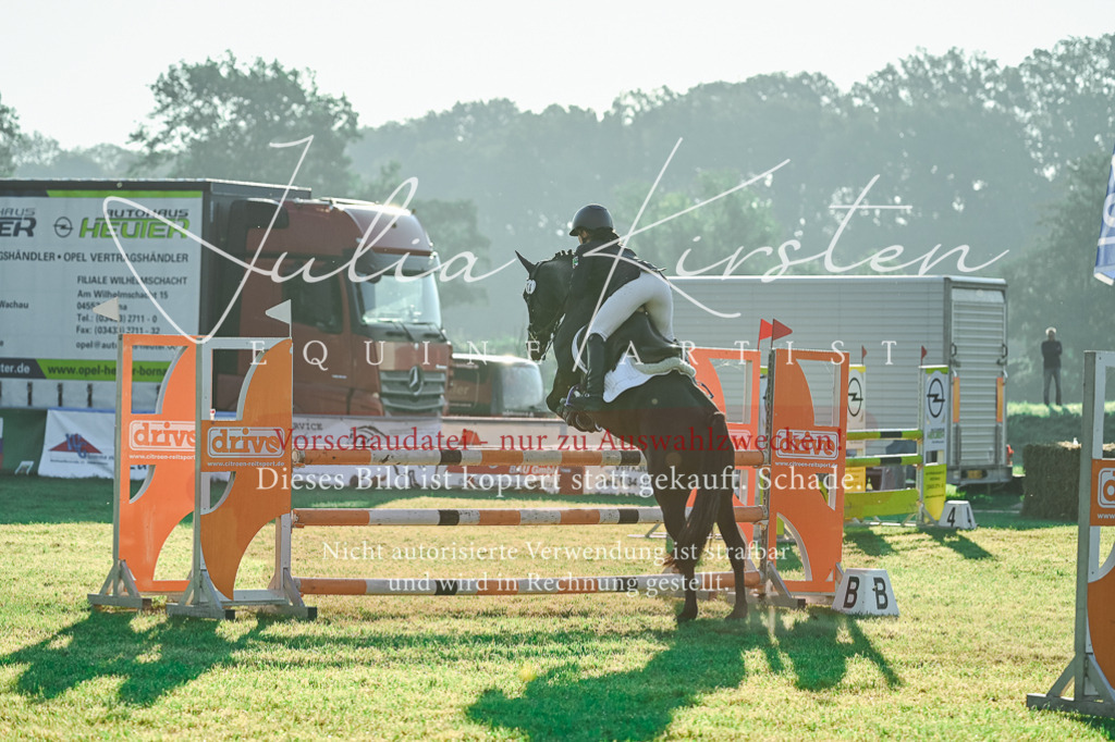 DSC_4087 | Pferde- und Turnierfotografie in Westsachsen. Pferdeportraits, Auftragszeichnungen und intuitive Kunst.