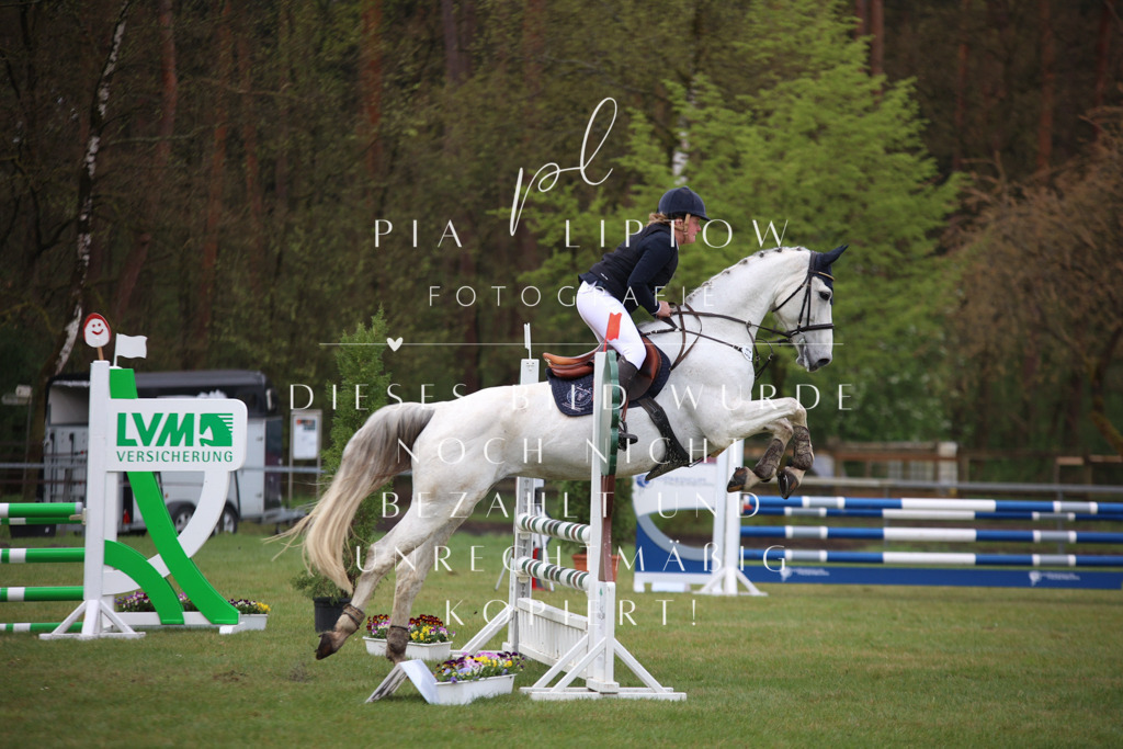 IMGT3146 | pl-fotografie