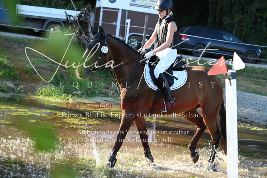DSC_9154 | Pferde- und Turnierfotografie in Westsachsen. Pferdeportraits, Auftragszeichnungen und intuitive Kunst.