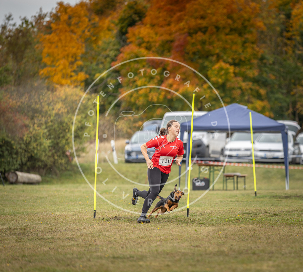 Pfotenfotografie_DV3A7526 | Hundefotografie, Tierfotograf, Pfotenfotografie, Fotoshooting Hund, Hunde Portrait, Hundesport, Hundeportraits, Heideshooting, Hunde, Sportfotograf, Hundefotograf, Turnierhundsport, THS,  - Realisiert mit Pictrs.com
