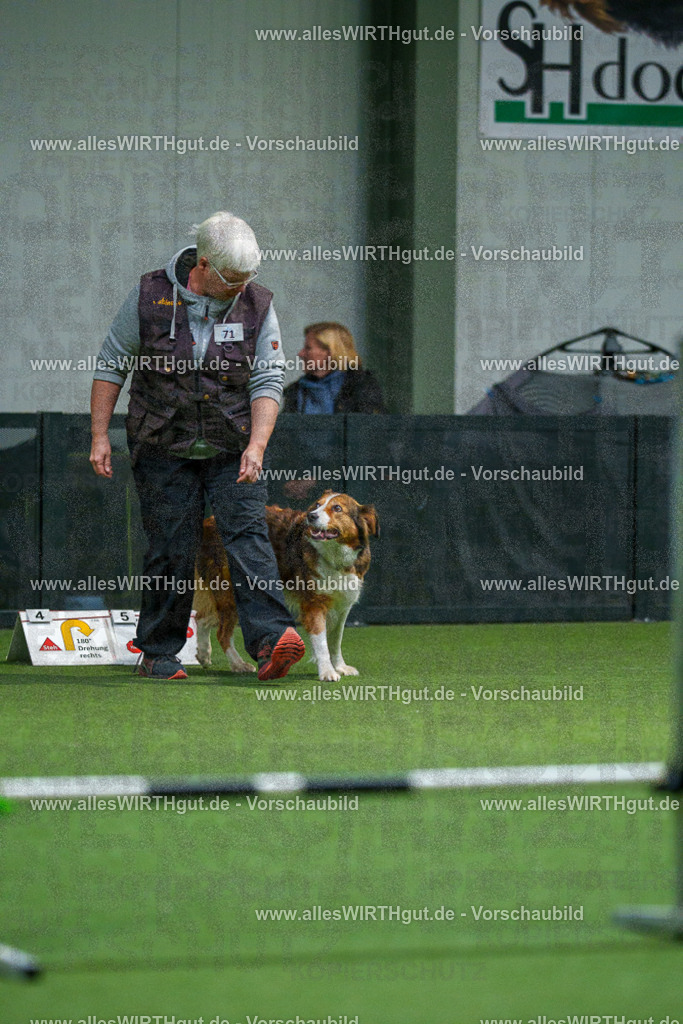 7R504048 | Professionelle Tierfotografie in Mönchengladbach von Daniel Wirth (allesWIRTHgut). Liebevolle & natürliche Bilder von Hunden & Katzen für unvergessliche Erinnerungen.