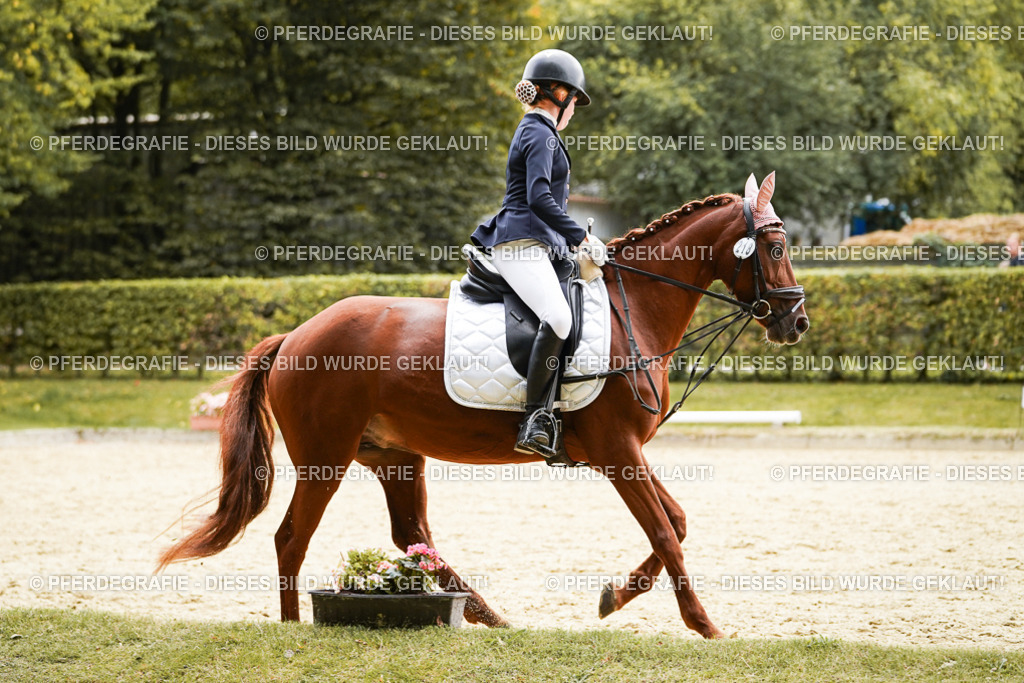 DSC09652 | Pferdegrafie