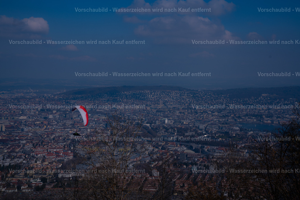 DSC02004-2 | marcuslinek