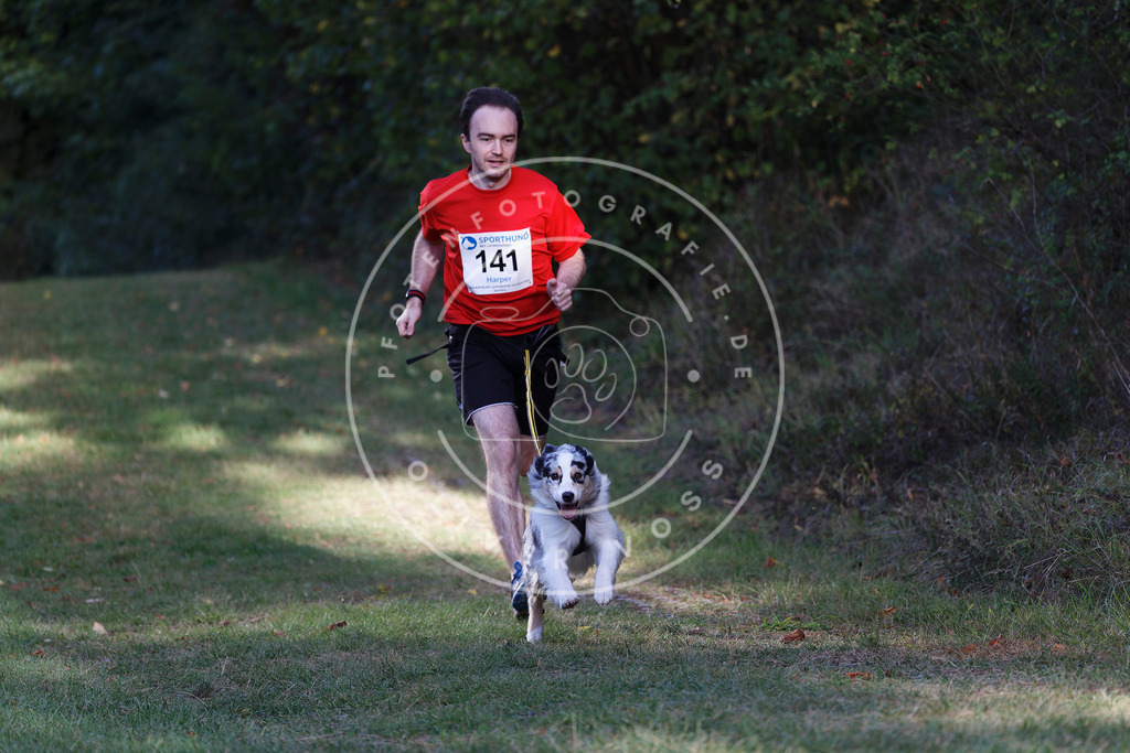 0L8A5116 | Hundefotografie, Tierfotograf, Pfotenfotografie, Fotoshooting Hund, Hunde Portrait, Hundesport, Hundeportraits, Heideshooting, Hunde, Sportfotograf, Hundefotograf, Turnierhundsport, THS,  - Realisiert mit Pictrs.com