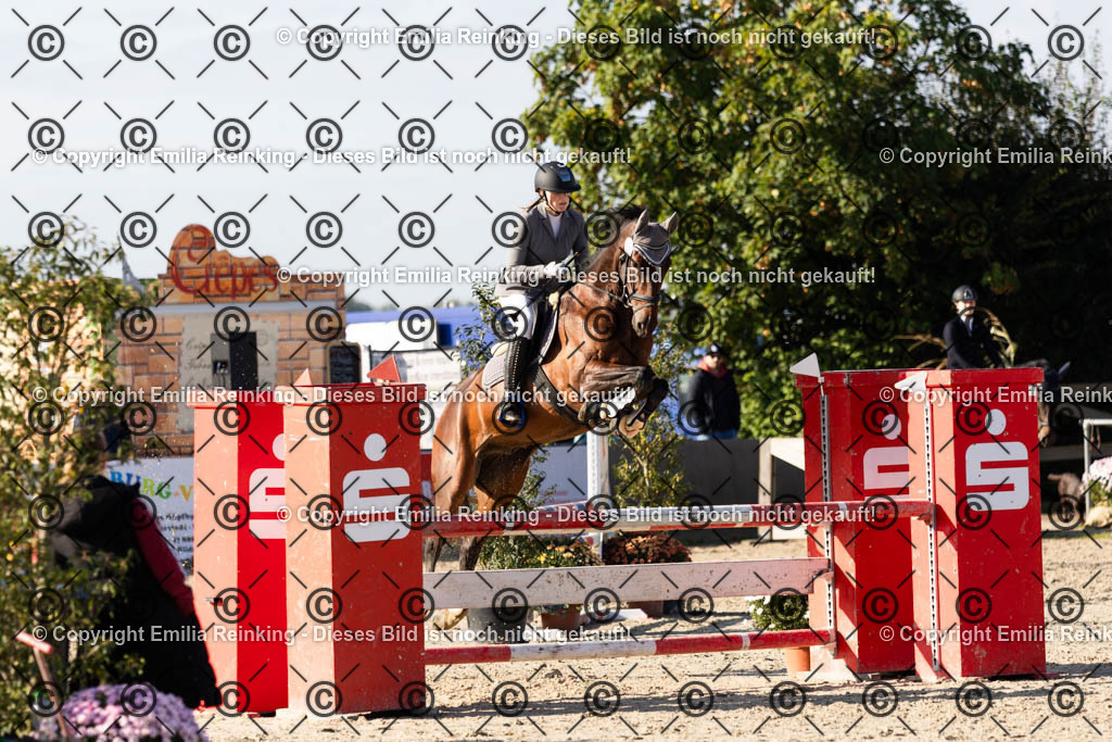 CL5A3338 | Emilia Reinking Fotografie - Realisiert mit Pictrs.com