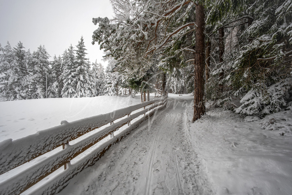 Möserer See | winter wonderland am Möserer See