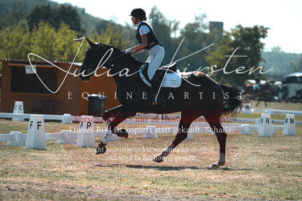 DSC_8354 | Pferde- und Turnierfotografie in Westsachsen. Pferdeportraits, Auftragszeichnungen und intuitive Kunst.