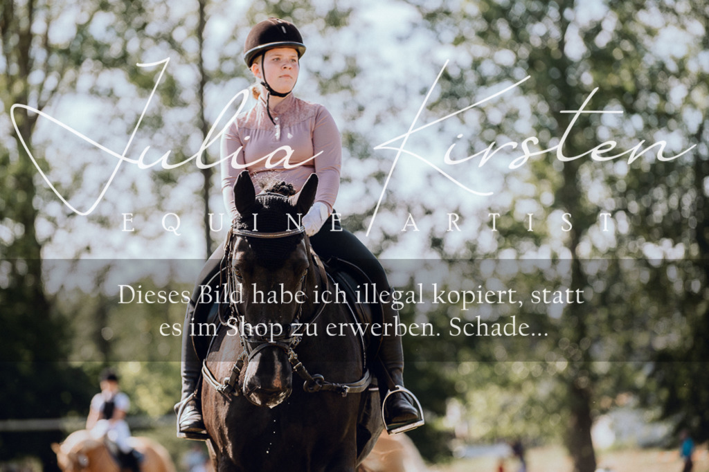 DSC_7115 | Pferde- und Turnierfotografie in Westsachsen. Pferdeportraits, Auftragszeichnungen und intuitive Kunst.