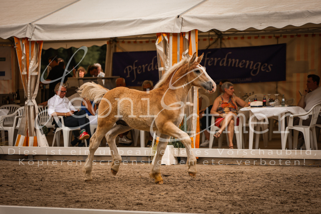 SaHF00054 | Leoni Ertmer Photography - Realisiert mit Pictrs.com