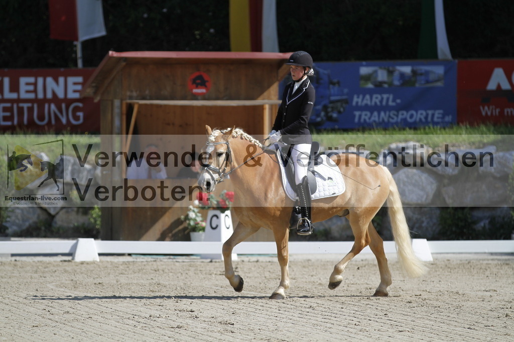 _MG_6510 | equestrian-live-com