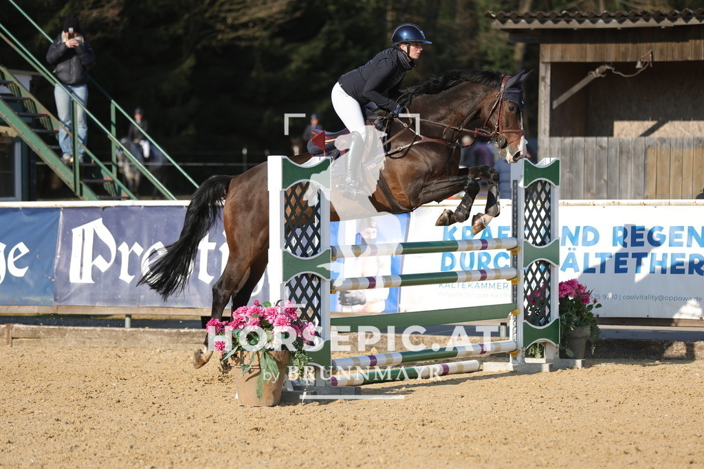 0P6A9212 | Willkommen bei Brunnmayr - Design & Fotografie – Ihrem Spezialisten für Reitturniere und Pferdeveranstaltungen in Oberösterreich, Salzburg und Bayern! Seit über 17 Jahren sind wir leidenschaftlich dabei.