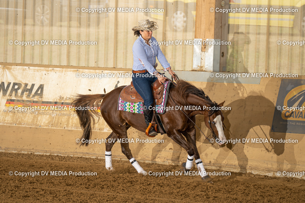 LAU01440 | dv-media-shop - Realisiert mit Pictrs.com