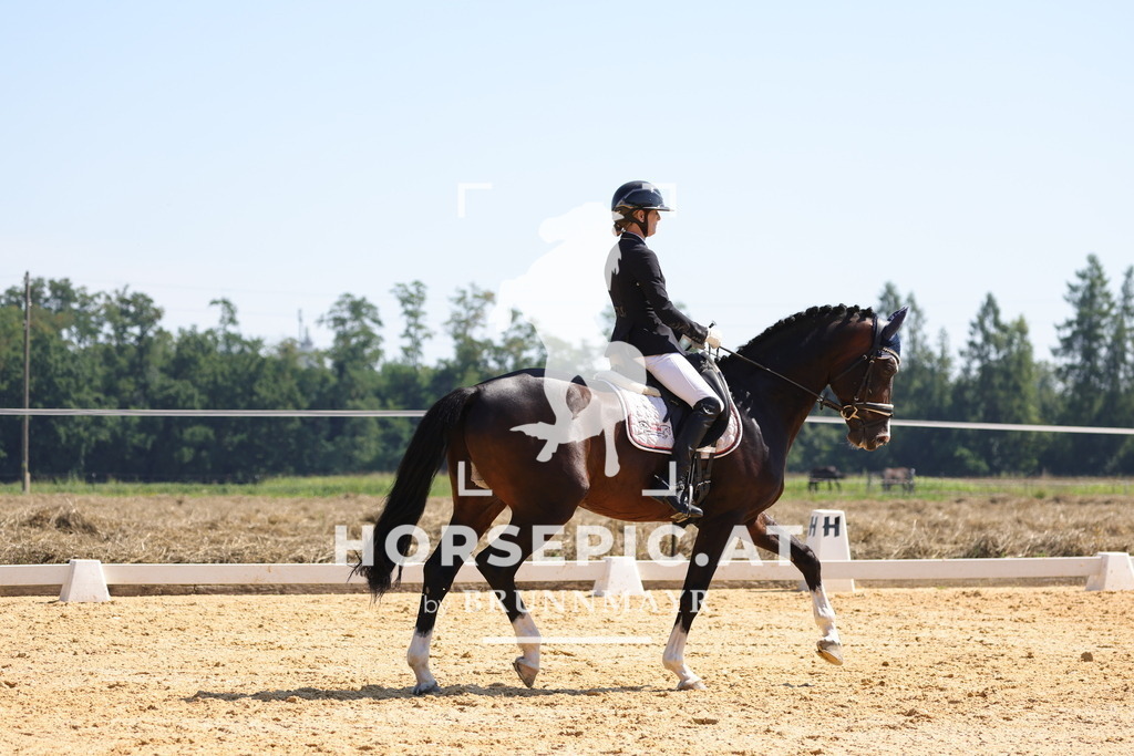 0P6A9619 | Willkommen bei Brunnmayr - Design & Fotografie – Ihrem Spezialisten für Reitturniere und Pferdeveranstaltungen in Oberösterreich, Salzburg und Bayern! Seit über 17 Jahren sind wir leidenschaftlich dabei.