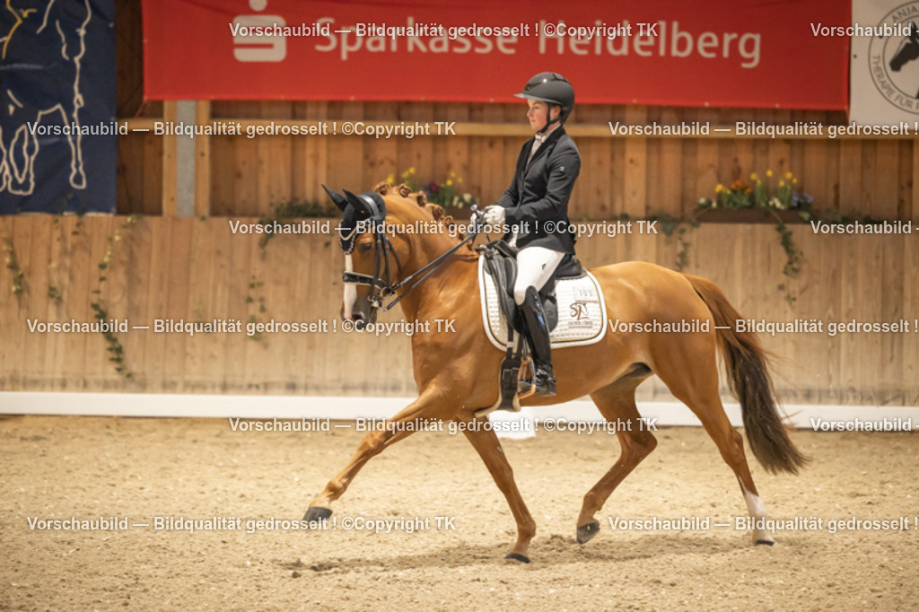 _D5A3718 | Emotionale Pferde- & People-Fotografie rund um Heidelberg, Leimen & Umgebung. Natürliche Fotos von Pferd, Mensch & Familie. Jetzt Termin sichern!