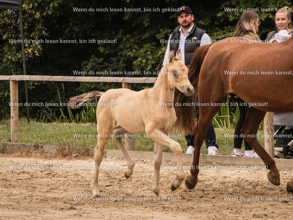 A10I1813 15.54.45 | photographylinaismer - Realisiert mit Pictrs.com
