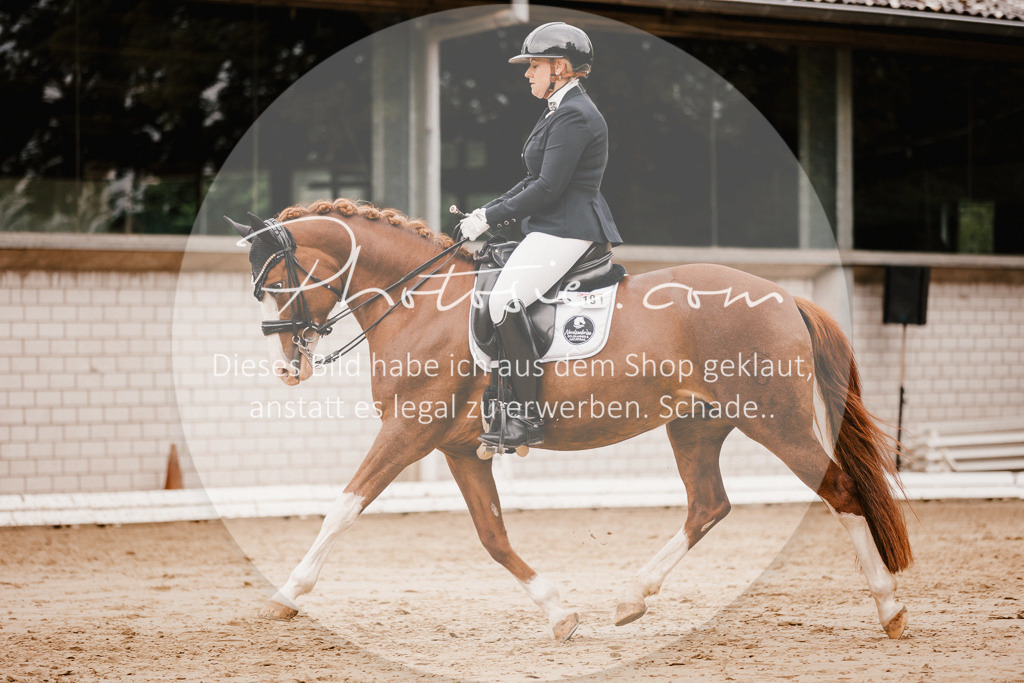 3I6A7806 | Stimmungsvolle Portraits und Reitsportfotografie im Ruhrgebiet und im Münsterland.

Pferdefotografie, Hundefotografie, Tierfotografie, Reportagen, Portraits von Tier und Mensch, Turnierfotografie in Bochum, Recklinghausen, Marl, Haltern am See, Dülmen.. - Realisiert mit Pictrs.com