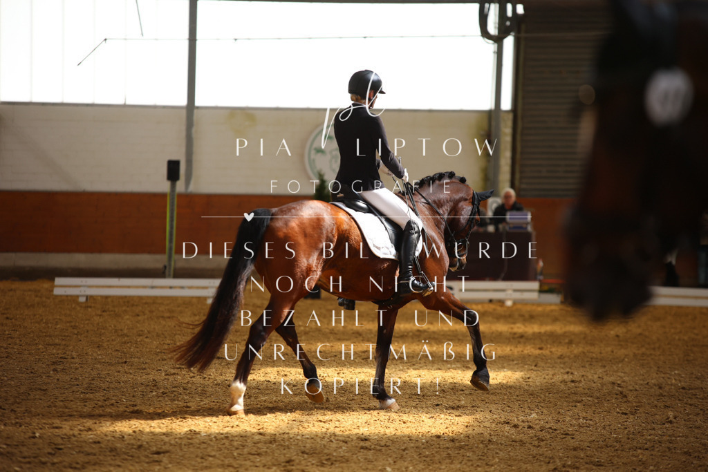 IMGT4345 | pl-fotografie