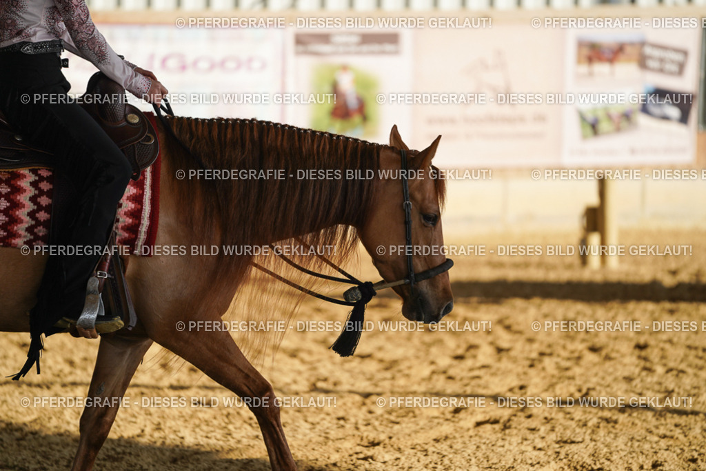 DSC08461 | Pferdegrafie