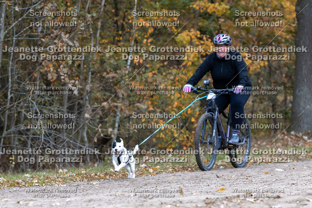 Dog Paparazzi - SD CaniX Championship 2025-602 | Dog Paparazzi Jeanette Grottendiek Fotografie & Videografie - Realisiert mit Pictrs.com