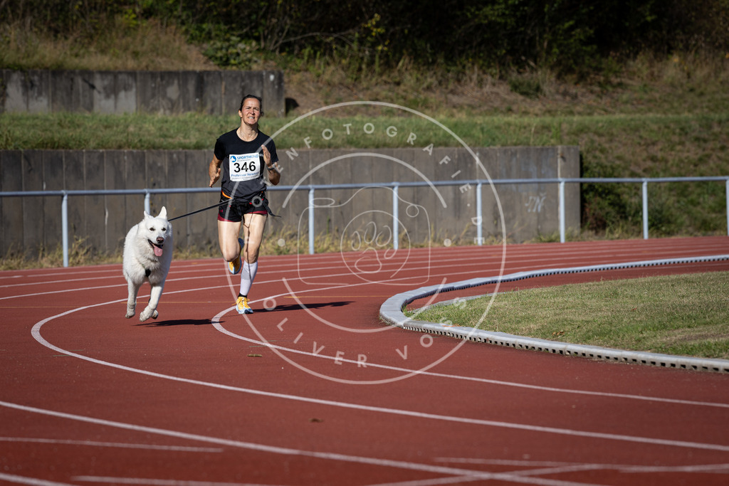 Pfotenfotografie_DV3A8955 | Hundefotografie, Tierfotograf, Pfotenfotografie, Fotoshooting Hund, Hunde Portrait, Hundesport, Hundeportraits, Heideshooting, Hunde, Sportfotograf, Hundefotograf, Turnierhundsport, THS,  - Realisiert mit Pictrs.com