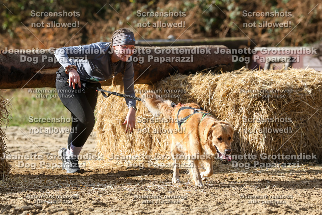 Dog Paparazzi - Strongdog 10-25-5375 | Dog Paparazzi Jeanette Grottendiek Fotografie & Videografie - Realisiert mit Pictrs.com