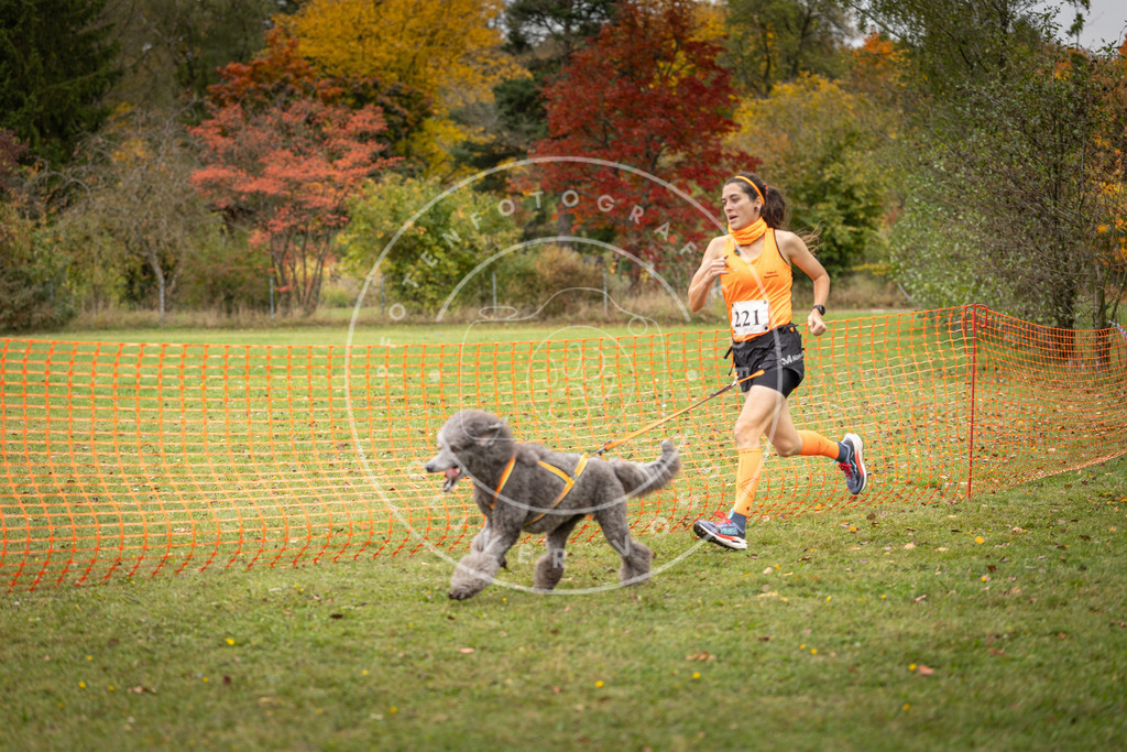 Pfotenfotografie_DV3A4819 | Hundefotografie, Tierfotograf, Pfotenfotografie, Fotoshooting Hund, Hunde Portrait, Hundesport, Hundeportraits, Heideshooting, Hunde, Sportfotograf, Hundefotograf, Turnierhundsport, THS,  - Realisiert mit Pictrs.com