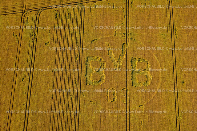 Dortmund230701952 | Luftbild, Symbole und Zeichen in einem Feld, BVB Logo, Bönninghauser Straße, Hostedde, Dortmund, Ruhrgebiet, Nordrhein-Westfalen, Deutschland