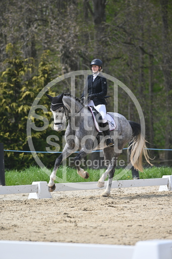 DSC_3596 | sattelsport - Realisiert mit Pictrs.com