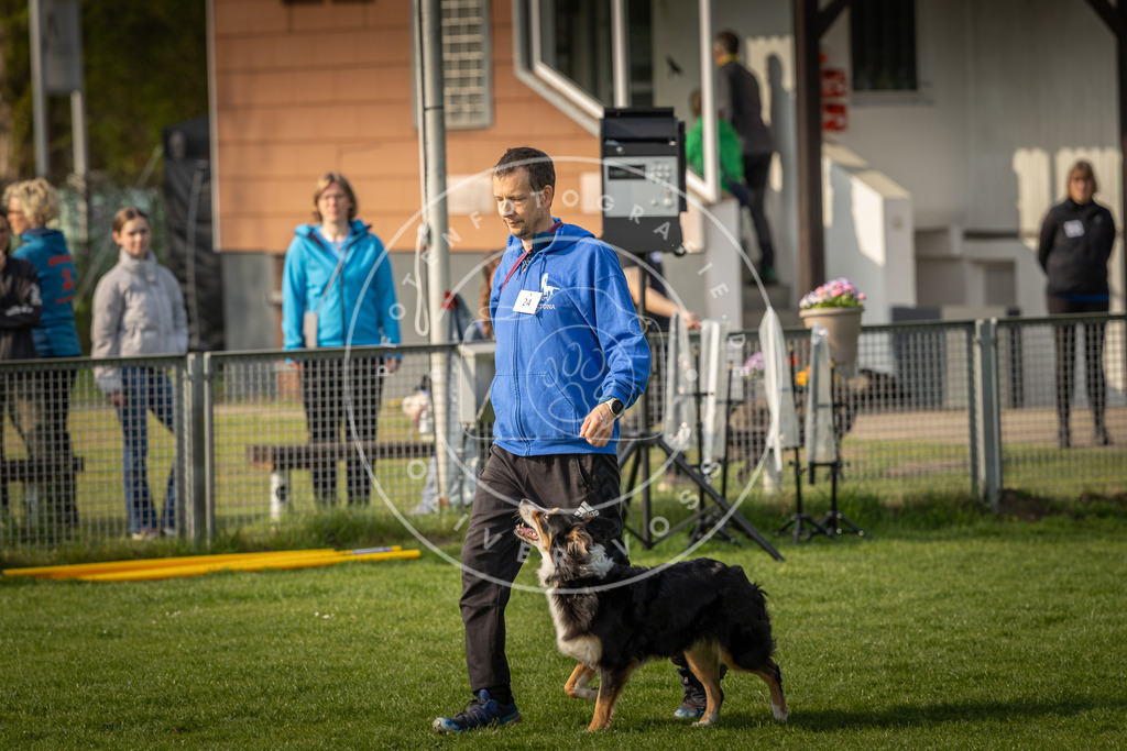 Pfotenfotografie_DV3A4821 | Hundefotografie, Tierfotograf, Pfotenfotografie, Fotoshooting Hund, Hunde Portrait, Hundesport, Hundeportraits, Heideshooting, Hunde, Sportfotograf, Hundefotograf, Turnierhundsport, THS,  - Realisiert mit Pictrs.com