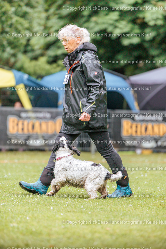 RO-Blumenthal-2026-Nickbest-Hundefotografie-0943 | Dein Hund! Dein Moment! Deine Erinnerungen! Hundefotografie in Bremen Blumenthal. Ich fange die besonderen Momente deines Vierbeiners ein – ob Indoor mit Blitzanlage oder in der freien Natur. Sicher dir dein Moment und dein Termin für eure Erinnerungen.