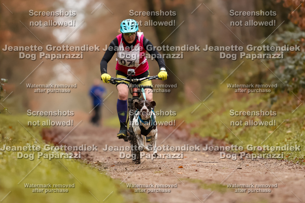 Dog Paparazzi - Speedhunter Mannheim  2025-18 | Dog Paparazzi Jeanette Grottendiek Fotografie & Videografie