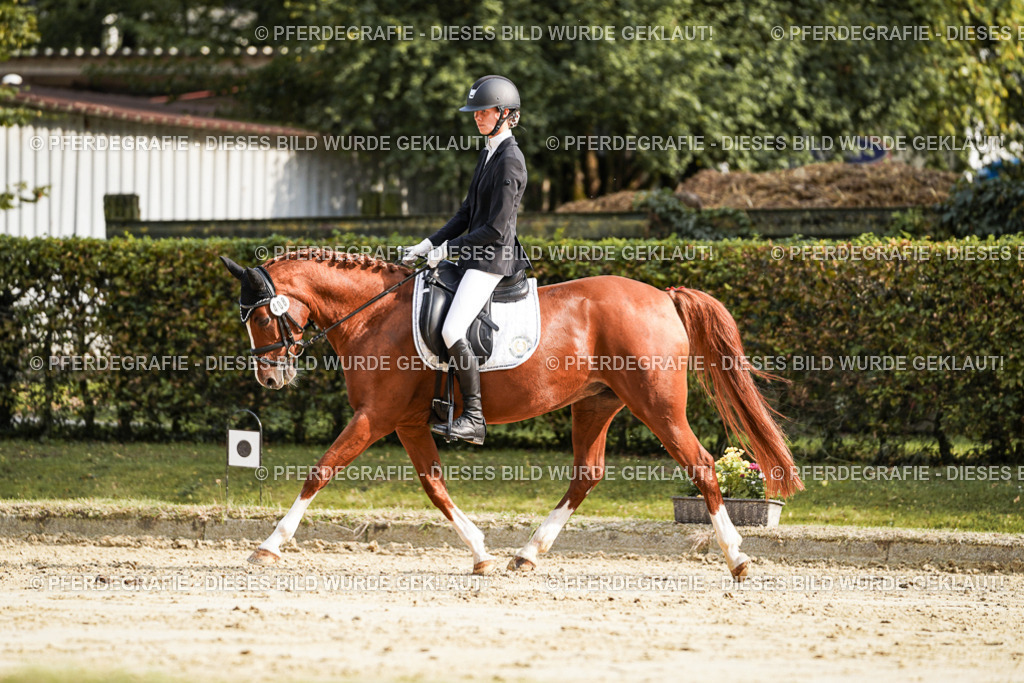 DSC05976 | Pferdegrafie