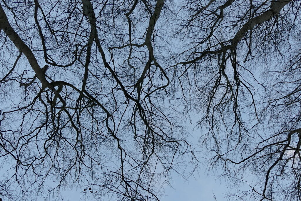 P1580104 | Annaeherungen - Realisiert mit Pictrs.com