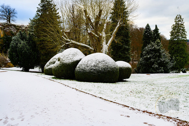 _DSC1962 | Shop für Prints Landschaftsfotografie Sächsische Schweiz Naturfotografie in Thüringen Fotos vom Findlingspark Nochten Kloster Sankt Marienstern Bilder Festung Königstein PanoramaRhododendronpark Kromlau FotogalerSchleswig-Holstein Küstenlandschaften