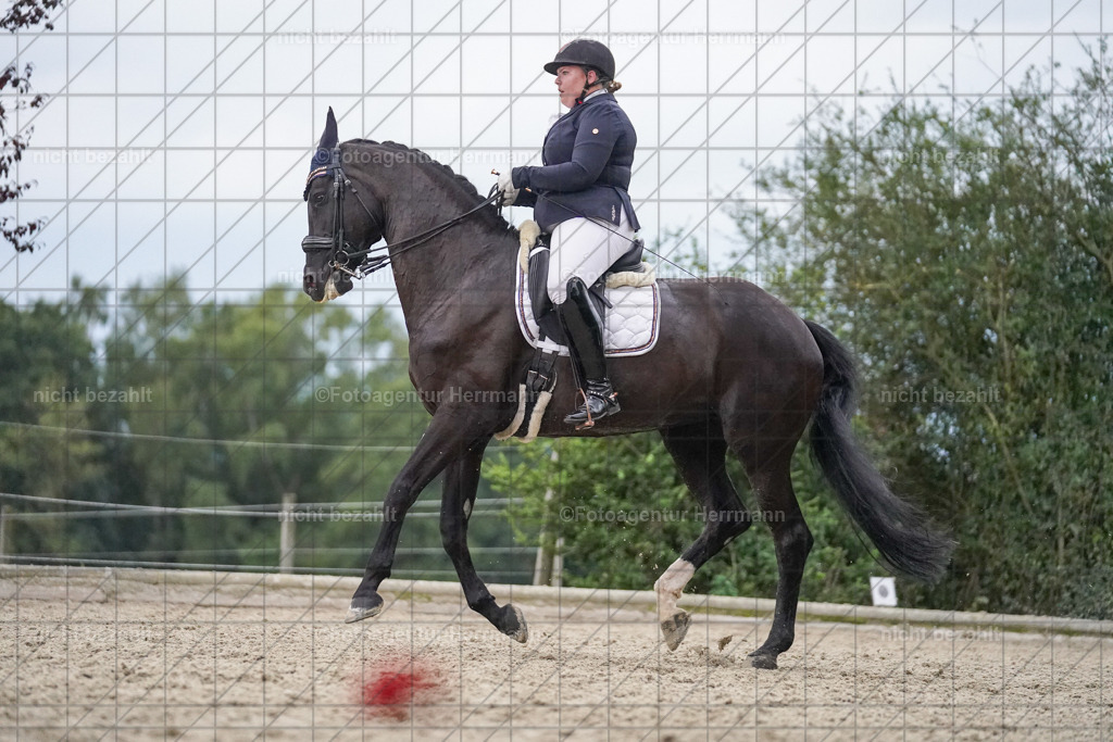 20230826-FAH06374 | Forstinning, 2023, Dressurturnier, Turniersportbilder, Turnierfotografen Bayern, Fotoagentur Herrmann, Reitsportfotografie, Turnierbilder