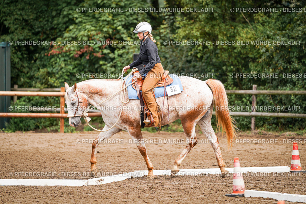 DSC04135 | Pferdegrafie